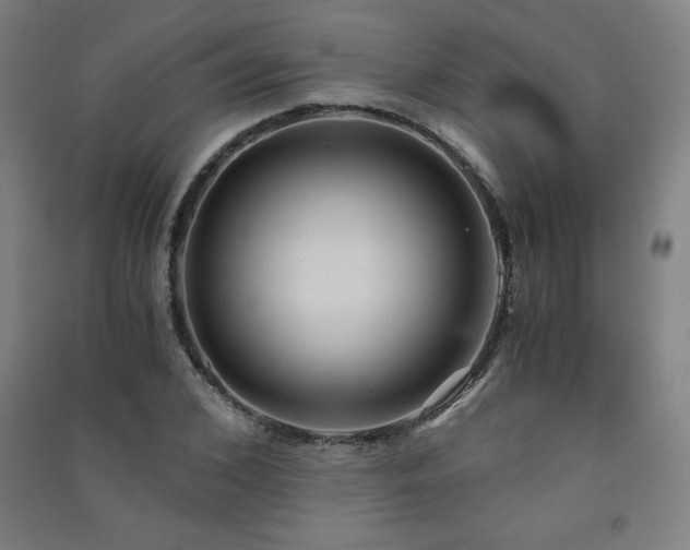 X0000091570976200708201142