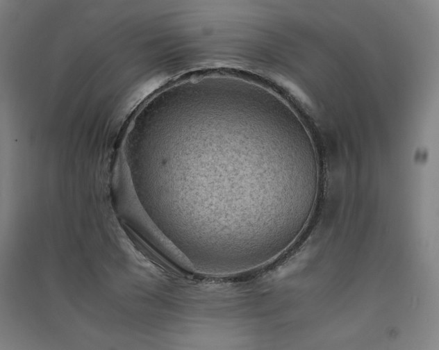 X0000091570977200708201142