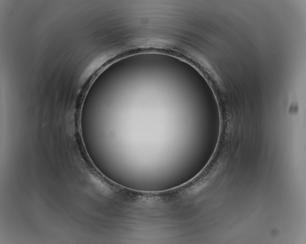 X0000091570978200708201141