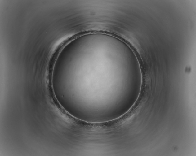 X0000091570979200708201141