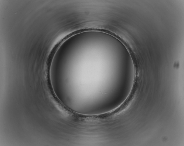 X0000091570981200708201141