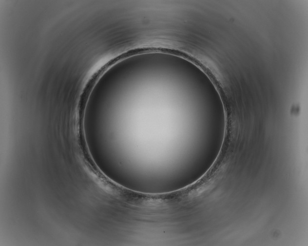 X0000091570982200708201141