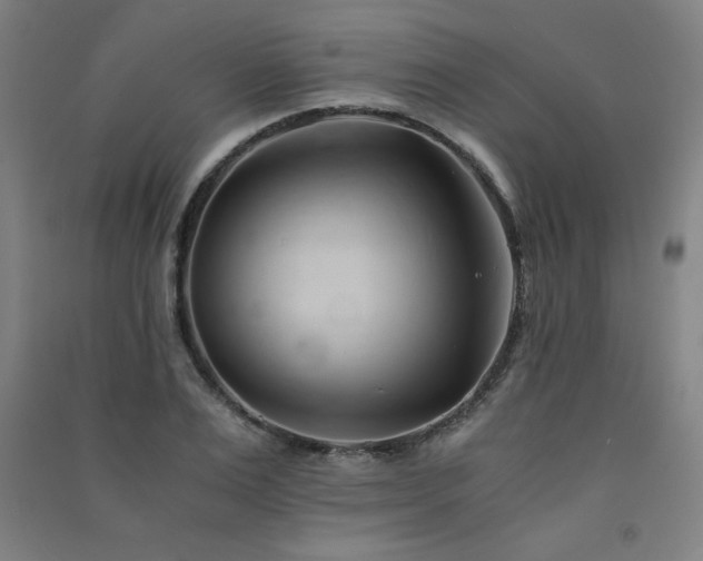 X0000091570983200708201141