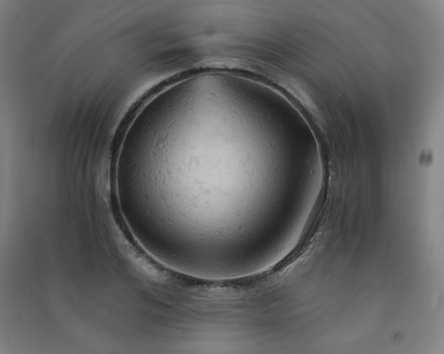 X0000091570984200708201141
