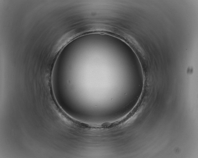 X0000091570985200708201141