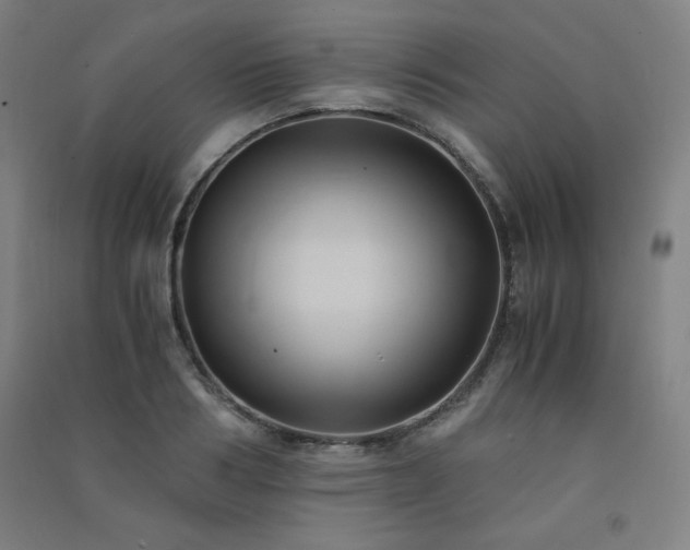X0000091570986200708201141