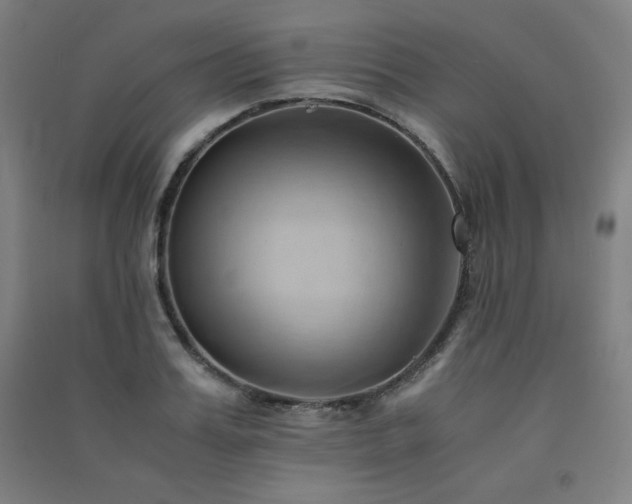 X0000091570987200708201141