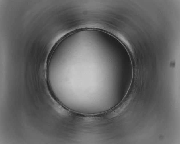 X0000091570988200708201141