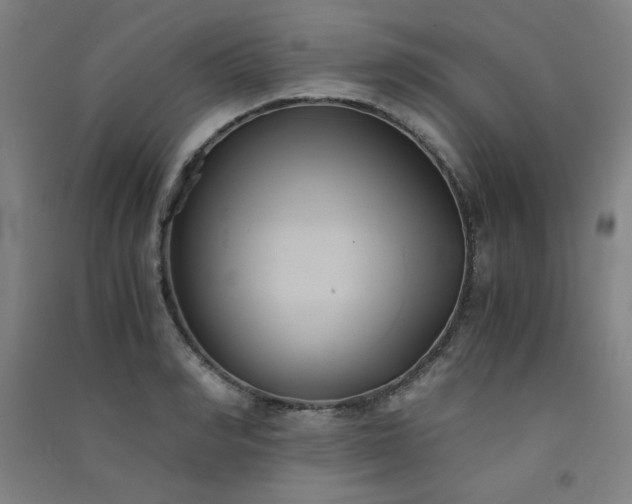 X0000091570990200708201141