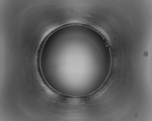 X0000091570991200708201141