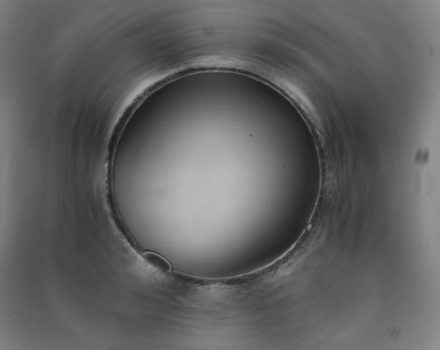 X0000091570992200708201141