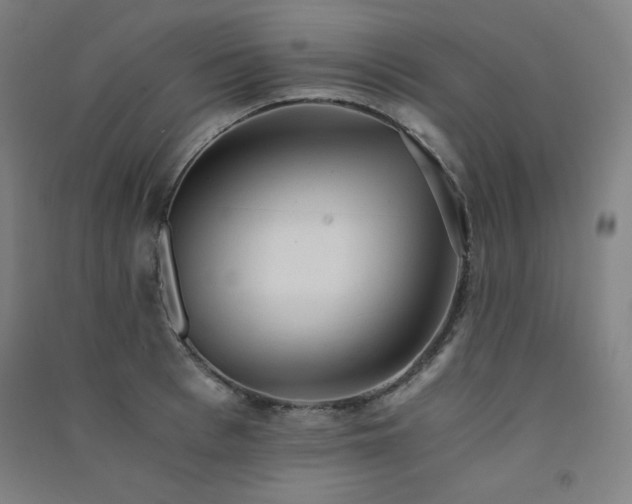 X0000091570993200708201141