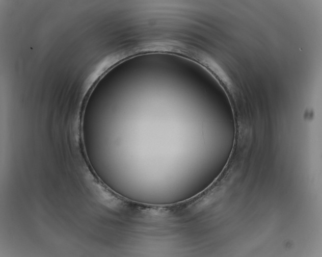 X0000091570994200708201141