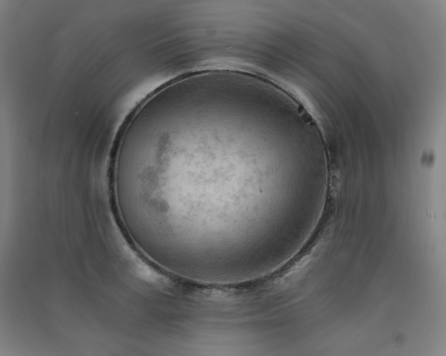 X0000091570995200708201141