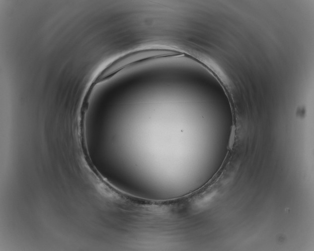 X0000091570996200708201141