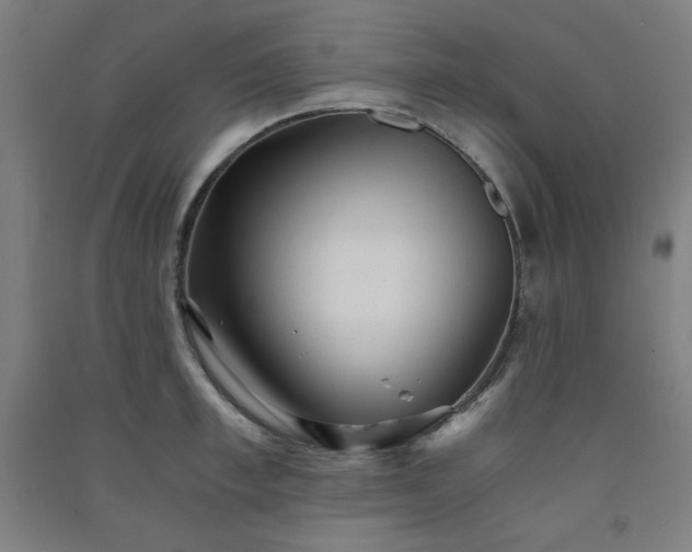 X0000091570997200708201141