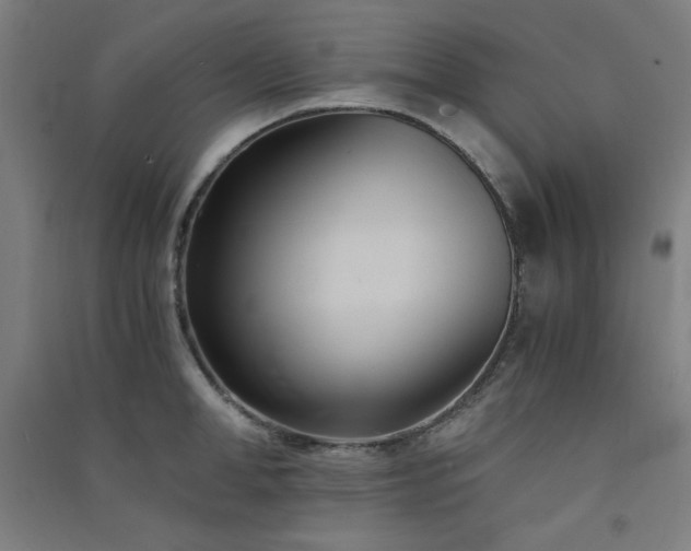 X0000091570998200708201141