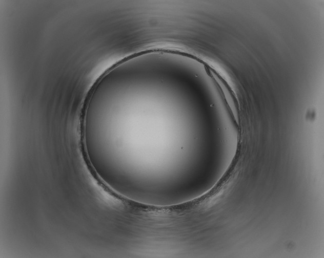 X0000091570999200708201141