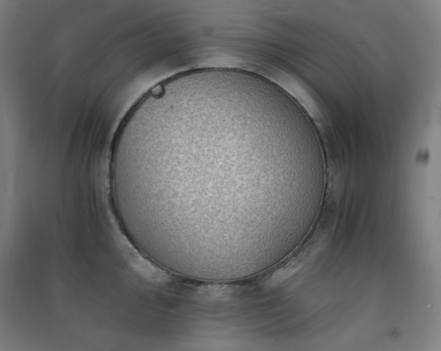 X0000091571000200708201141