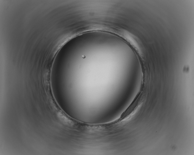 X0000091571001200708201141