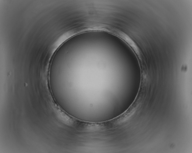 X0000091571002200708201141