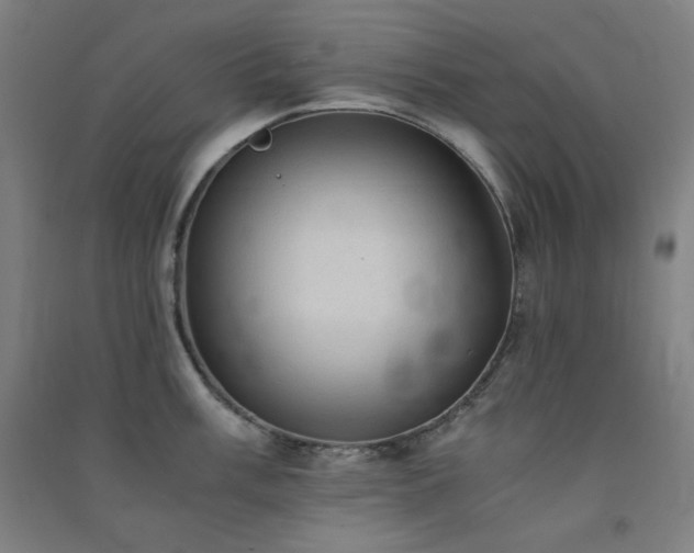 X0000091571003200708201141
