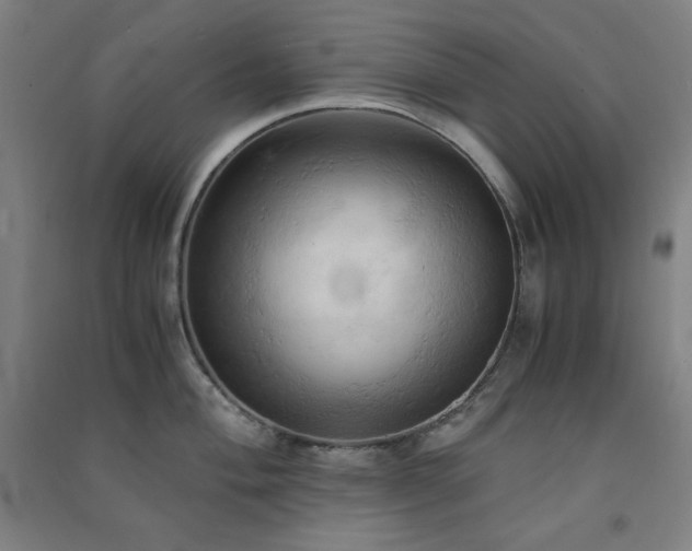 X0000091571004200708201141