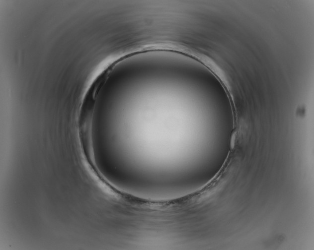 X0000091571005200708201141