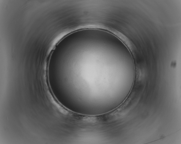 X0000091571006200708201141