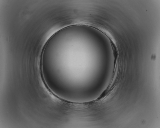 X0000091571007200708201141