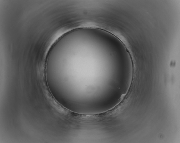 X0000091571008200708201141