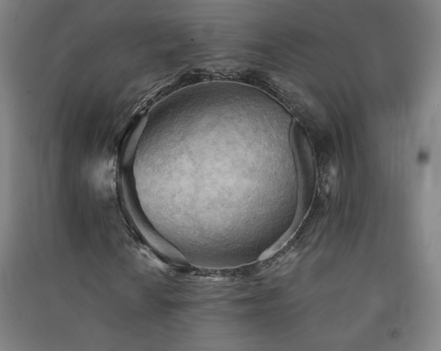 X0000091571010200708201140