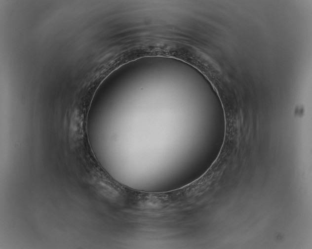 X0000091571013200708201140