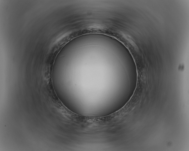 X0000091571015200708201140