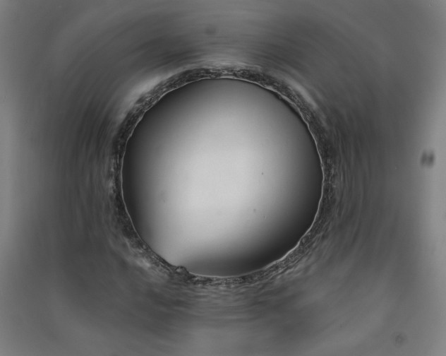 X0000091571016200708201140