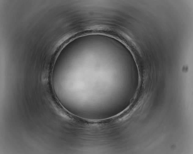 X0000091571017200708201140