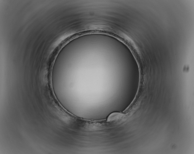 X0000091571019200708201140