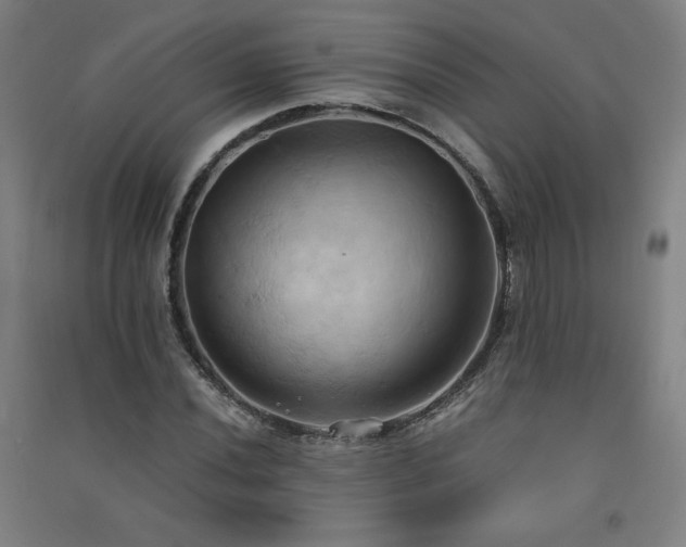 X0000091571020200708201140