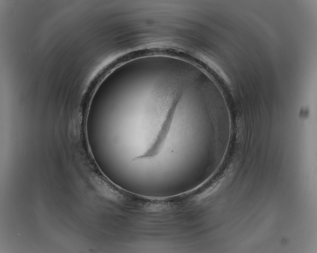 X0000091571021200708201140
