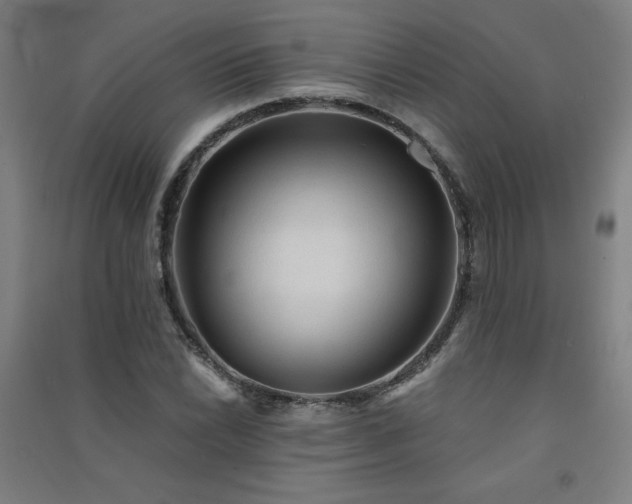 X0000091571022200708201140