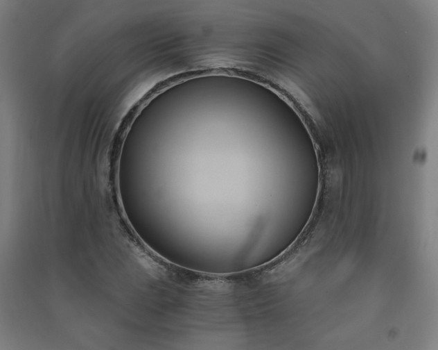X0000091571023200708201140