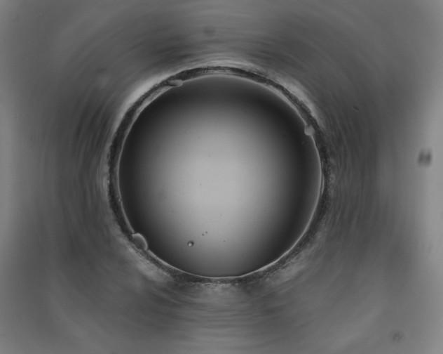 X0000091571024200708201140