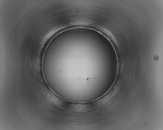 X0000091571027200708201141