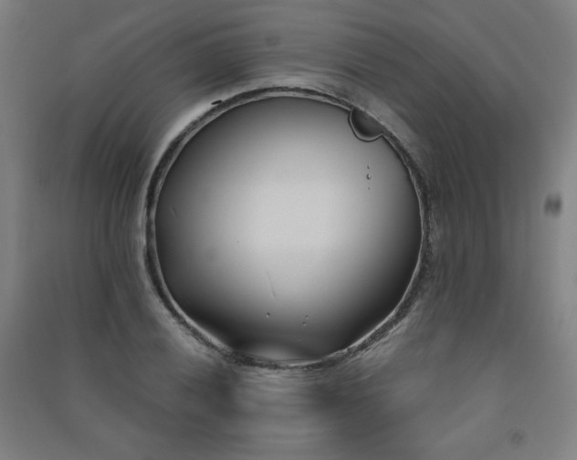 X0000091571028200708201141