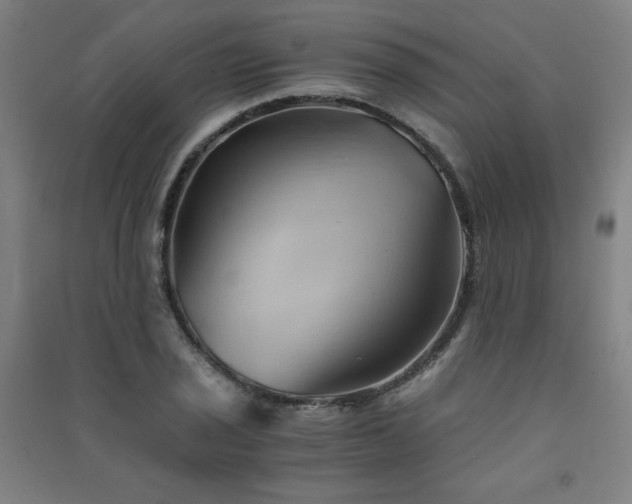 X0000091571029200708201141
