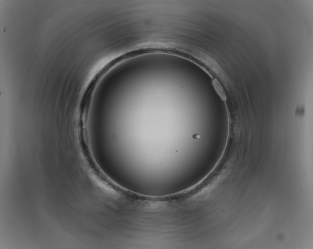 X0000091571030200708201141