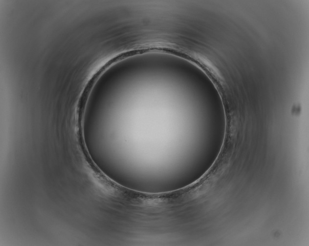 X0000091571031200708201141