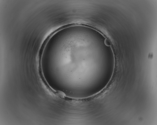 X0000091571032200708201141