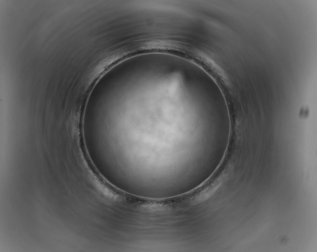 X0000091571033200708201141