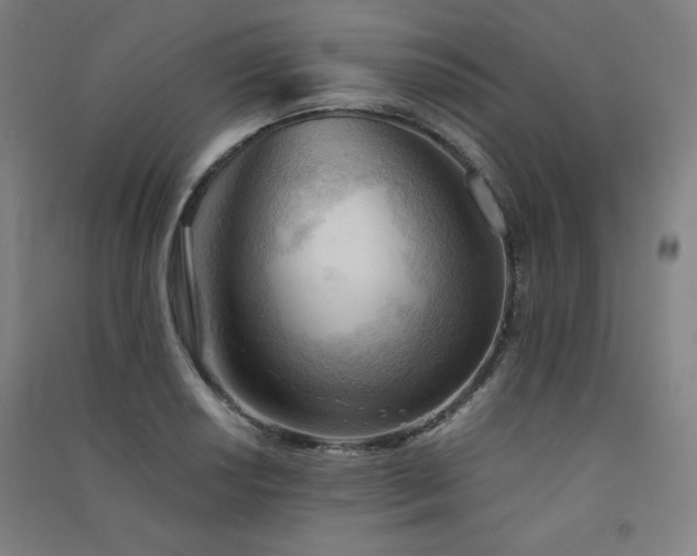 X0000091571034200708201141